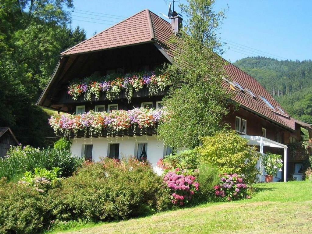Haus Schneider Apartment Gutach Exterior photo